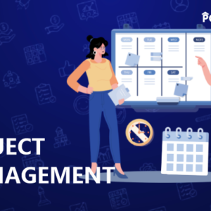 Become a professional Project Manager in Project Management